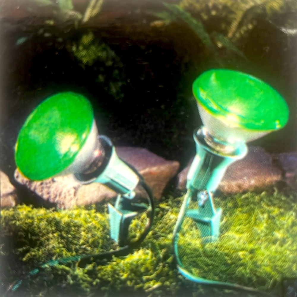 2/$30 PAR38 Green Light Bulb. Flood Light Bulb. Holiday Lighting. Security Light